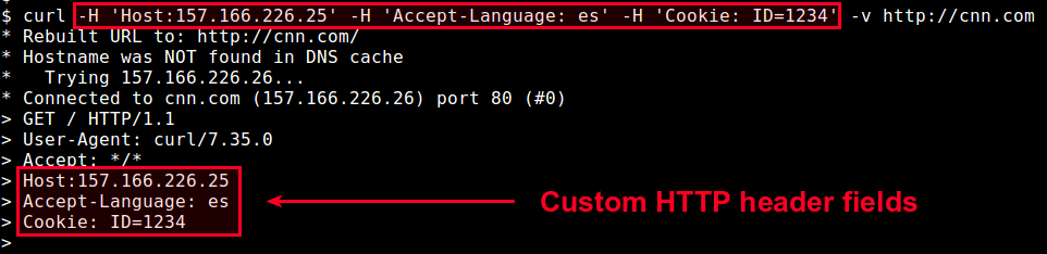 How To Set A Custom HTTP Header In Curl