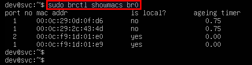 linux show mac address table
